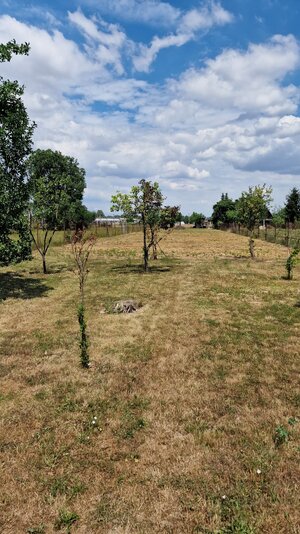 Rodinný dom s pozemkom 1857 m² v tichej uličke obce Zemplínsky Branč — foto 9