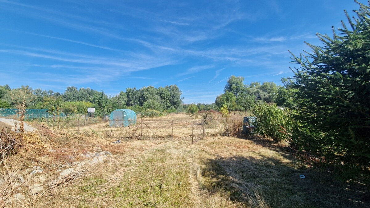 Prízemný rodinný dom s veľkým pozemkom v srdci Tokaja — foto 11