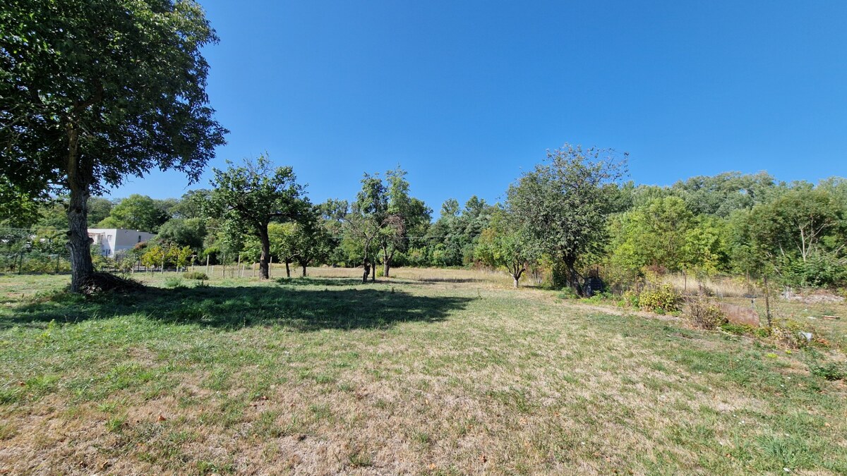 Rodinný dom s veľkorysým pozemkom (2 851 m²) – Trebišov, — foto 13