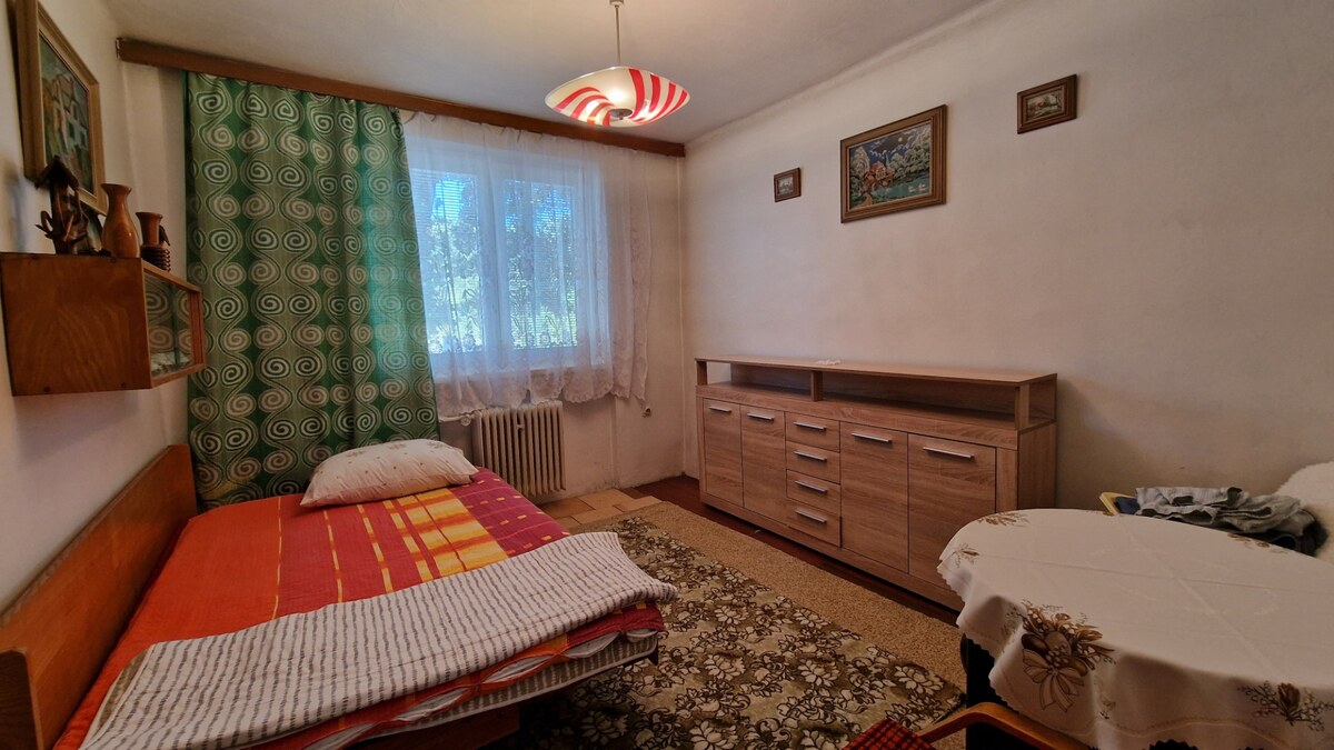Rodinný dom s veľkorysým pozemkom (2 851 m²) – Trebišov, — foto 5
