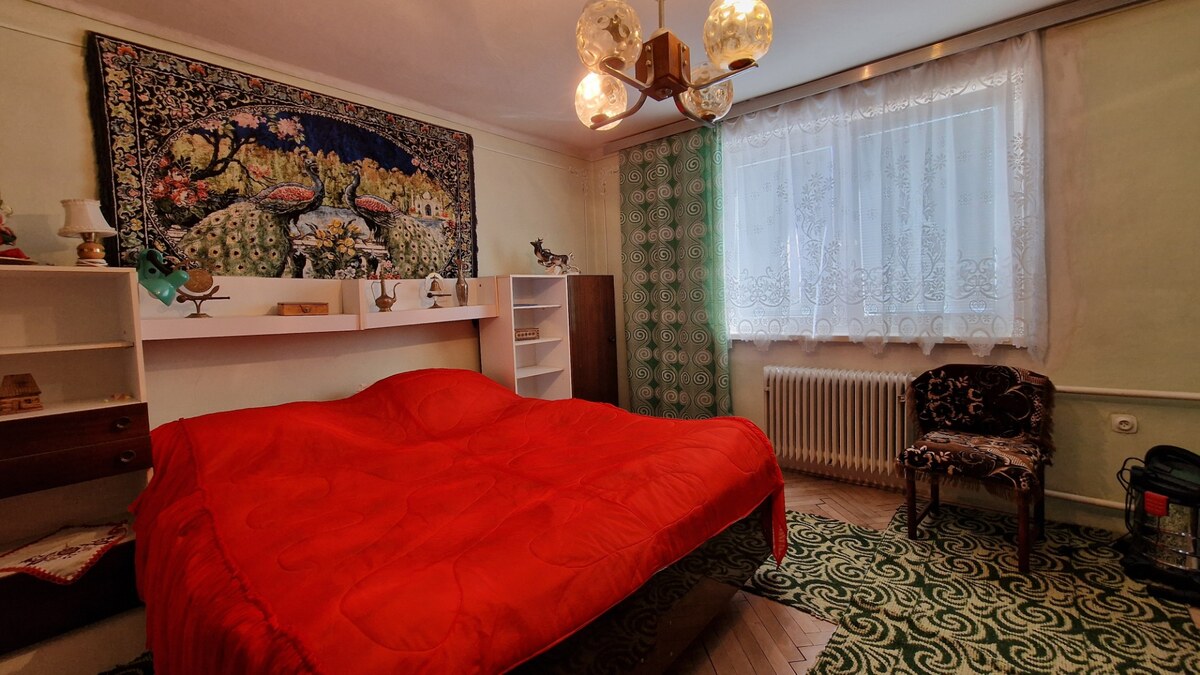 Rodinný dom s veľkorysým pozemkom (2 851 m²) – Trebišov, — foto 7