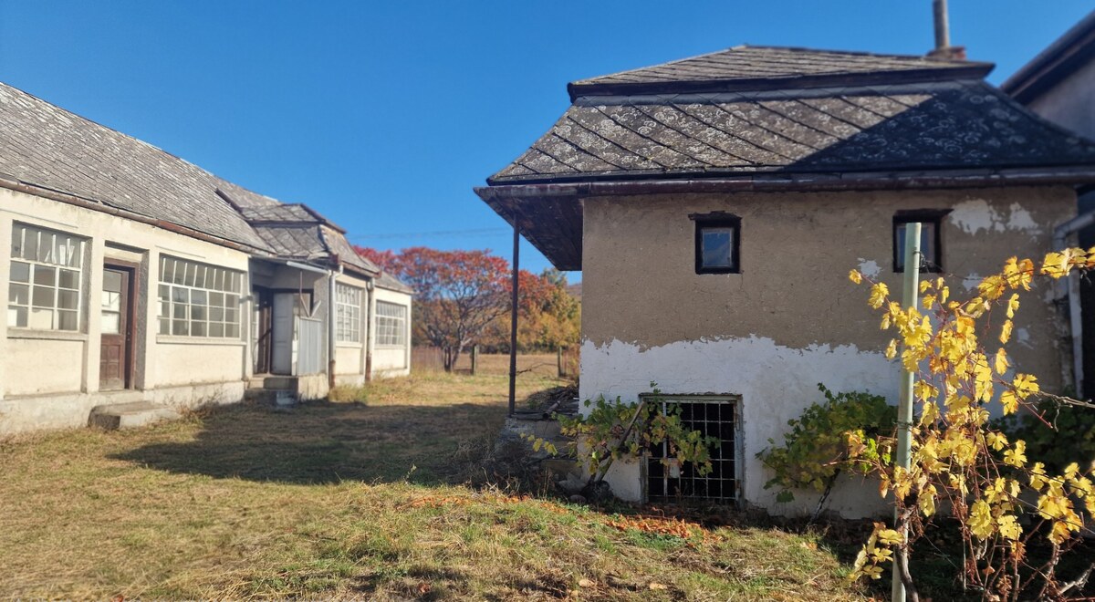 Veľká Tŕňa – priestranný pozemok 3663 m2 pre rodinnú sebestačnosť — foto 3