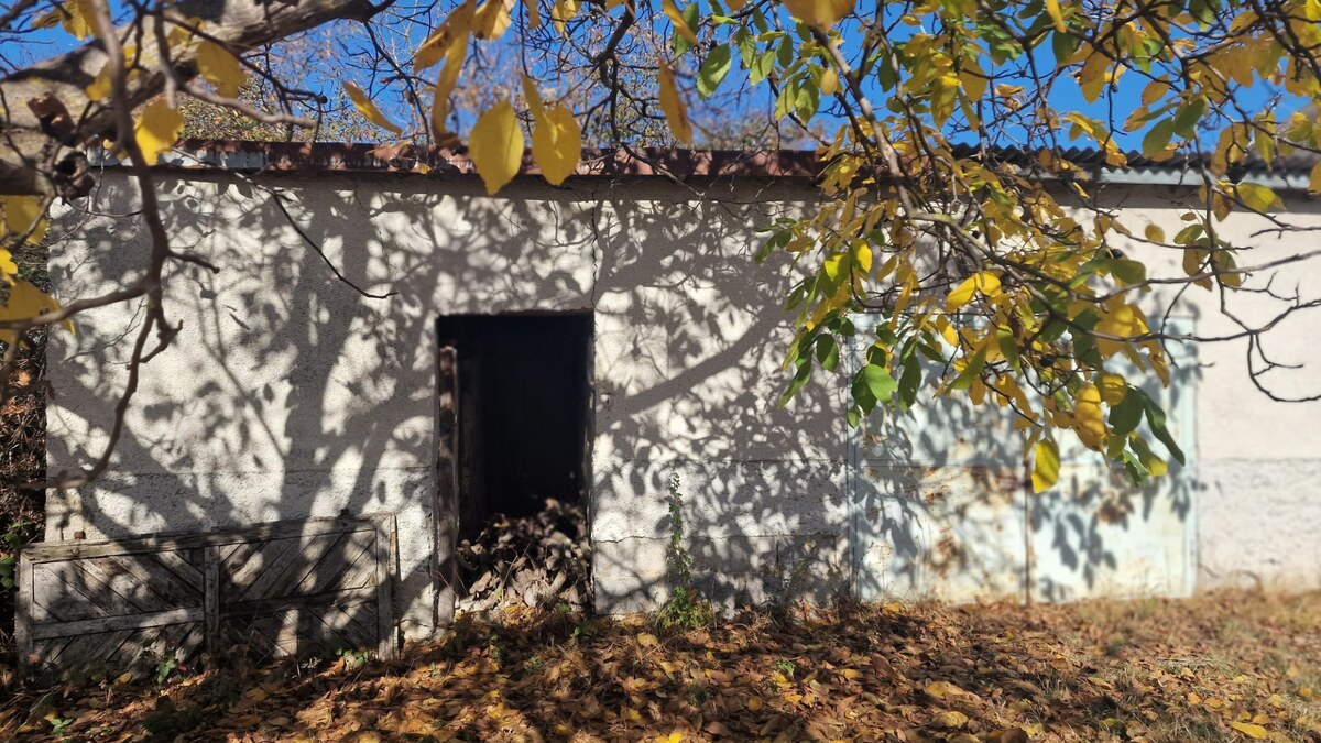 Veľká Tŕňa – priestranný pozemok 3663 m2 pre rodinnú sebestačnosť — foto 4