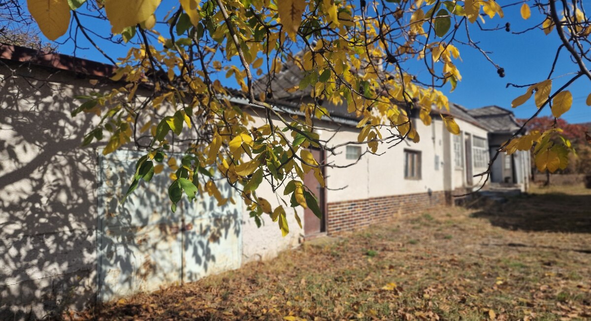 Veľká Tŕňa – priestranný pozemok 3663 m2 pre rodinnú sebestačnosť — foto 5