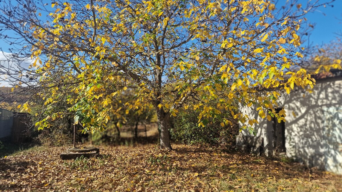 Veľká Tŕňa – priestranný pozemok 3663 m2 pre rodinnú sebestačnosť — foto 6