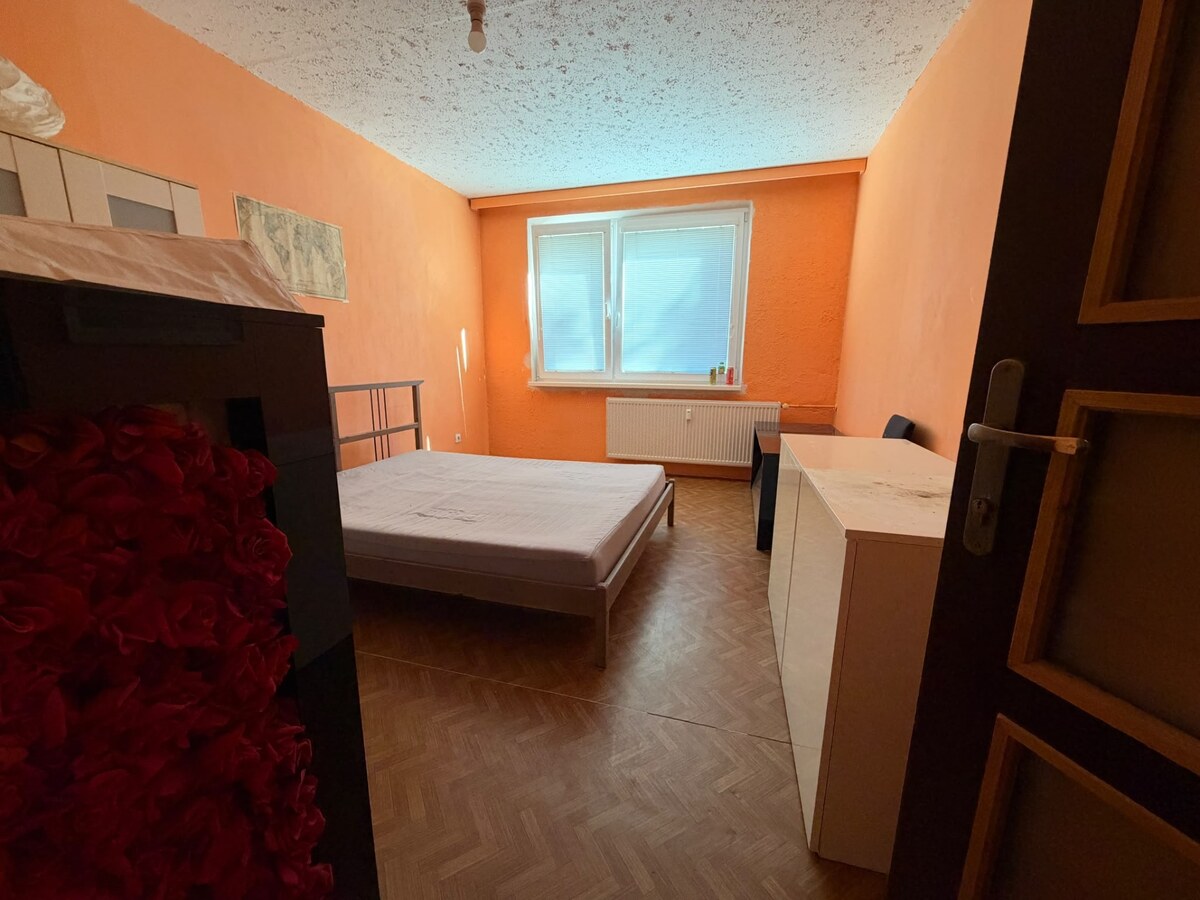 4 izbový byt na Čajkovského ulici — foto 2