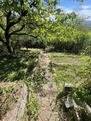 PREDAJ - Rekreačná chata s pozemkom v Stupave - časť Ovocinár — foto 11