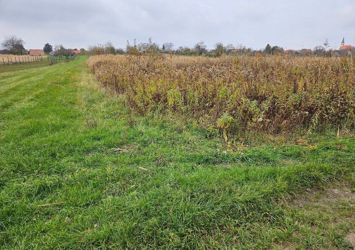 Pozemok o výmere 454 m2, schválený v Územnom pláne na stavbu RD — foto 2