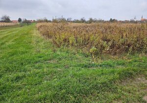 Pozemok o výmere 454 m2, schválený v Územnom pláne na stavbu RD — foto 2