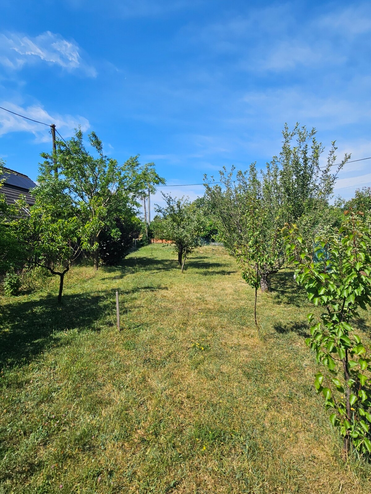 Záhrada Mokráň záhon — foto 2