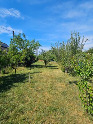 Záhrada Mokráň záhon — foto 2