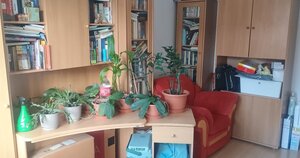 3- izbový byt na  ulici Jedľová — foto 2