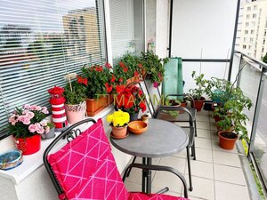 Veľký, slnečný a priestranný 3-izbový byt — foto 14