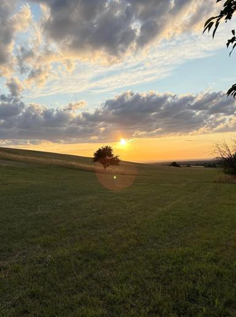 Rekreačný pozemok v Lozorne pri priehrade — foto 4
