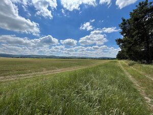 Lúka pod lesom v Jablonovom — foto 1