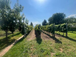 Pekný 3 izbový rodinný dom s veľkým pozemkom v Prievaloch — foto 9