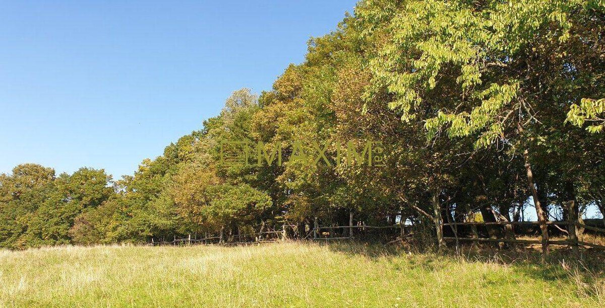Slnečný takmer hektárový pozemok (9410m²) v k.ú. Kuchyňa s nádherným p — foto 2