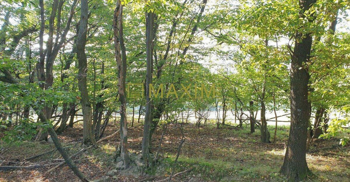 Slnečný takmer hektárový pozemok (9410m²) v k.ú. Kuchyňa s nádherným p — foto 6