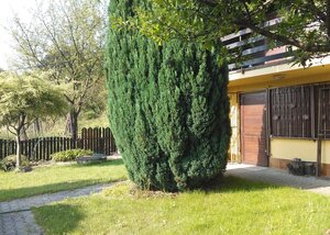 Chata snov nad Bratislavou – pokoj, výhľad a komfort na jednom mieste — foto 2