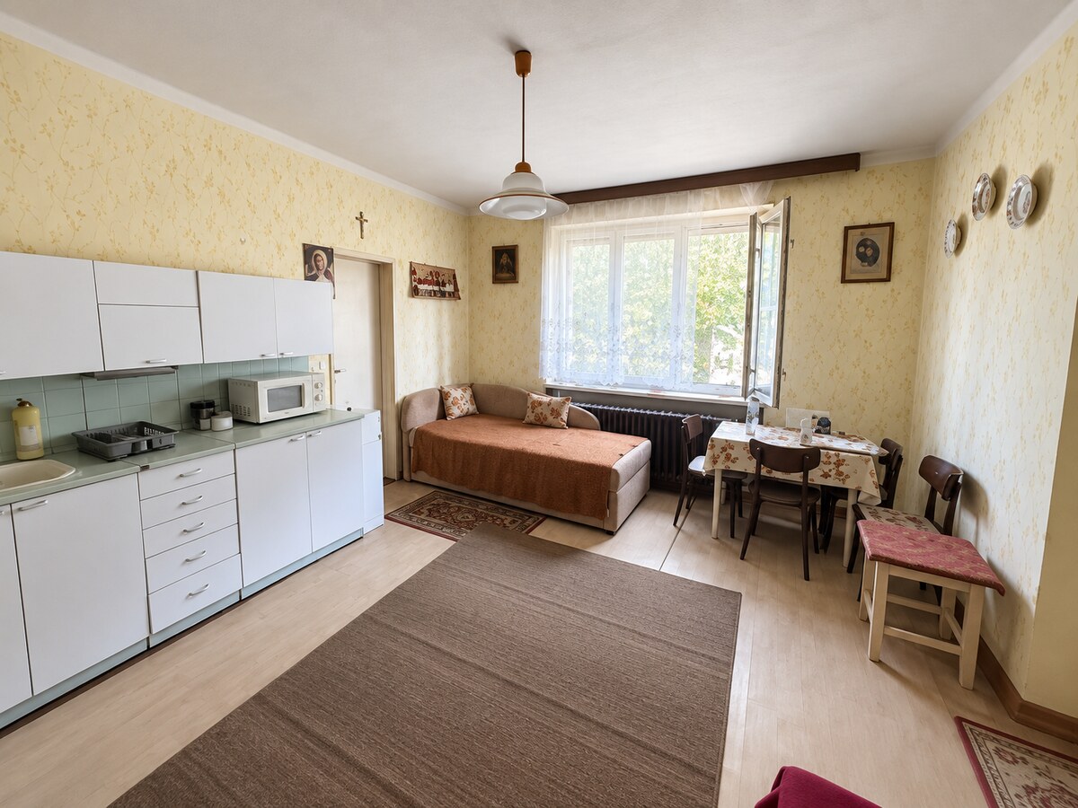 RODINNÝ DOM S ROZĽAHLÝM POZEMKOM 2 951 m² A PRÍSTAVBOU | BAB — foto 9