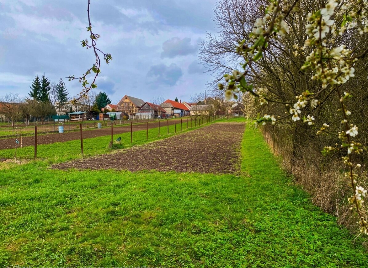 Vidiecky dom v Dobrej Vode – lacnejší ako garsónka v Trnave! — foto 8