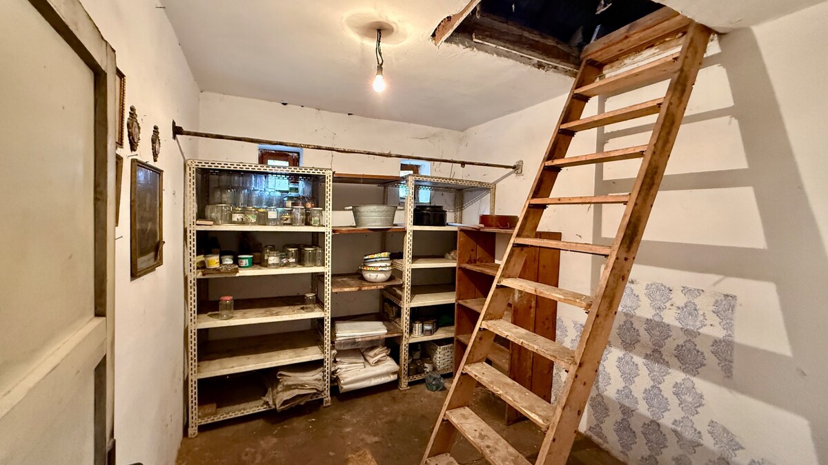 TIMA Real* rodinný dom s 13á pozemkom, Opoj — foto 10