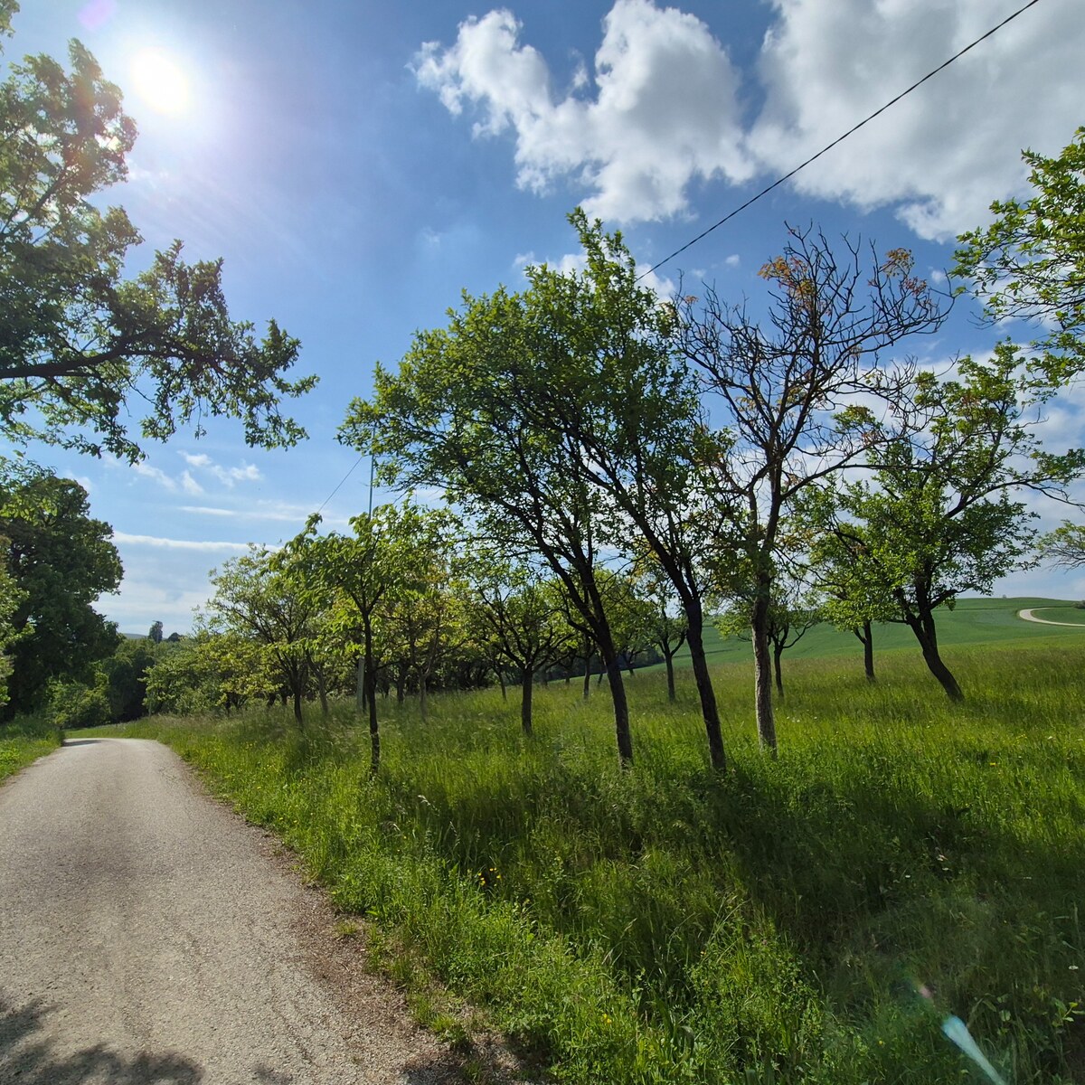 Exkluzívne ponúkame na predaj pozemok v Turej Lúke časť Junasov — foto 2