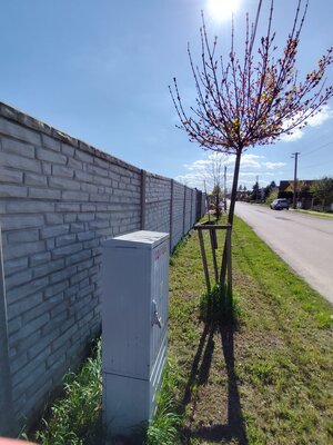 Ideálny slnečný pozemok v Bielom Kostole — foto 4