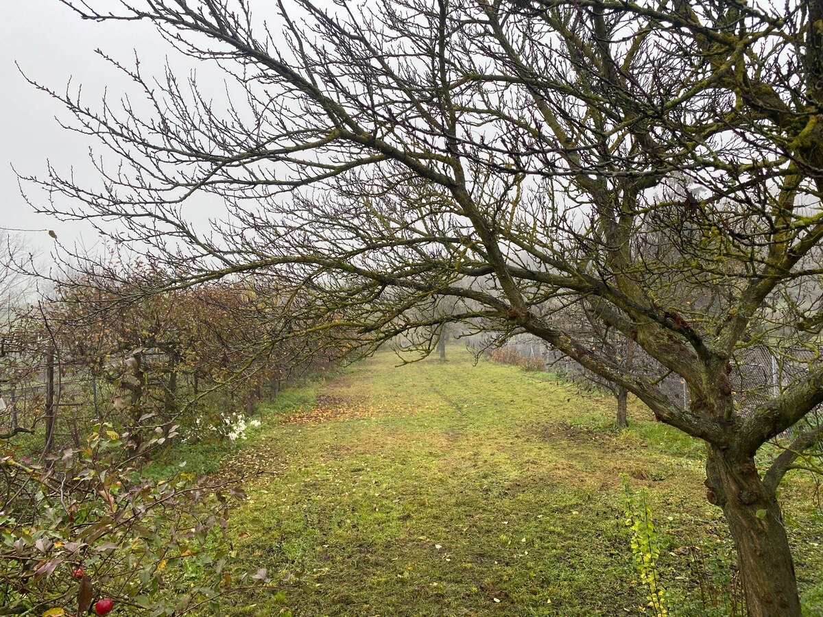 REZERVOVANÉ - EXKLUZÍVNE - Pekný 4i RD, pozemok 1376m2, Horná Krupá — foto 14