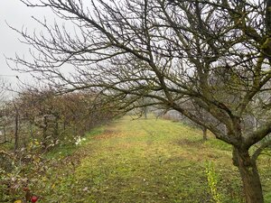 REZERVOVANÉ - EXKLUZÍVNE - Pekný 4i RD, pozemok 1376m2, Horná Krupá — foto 14