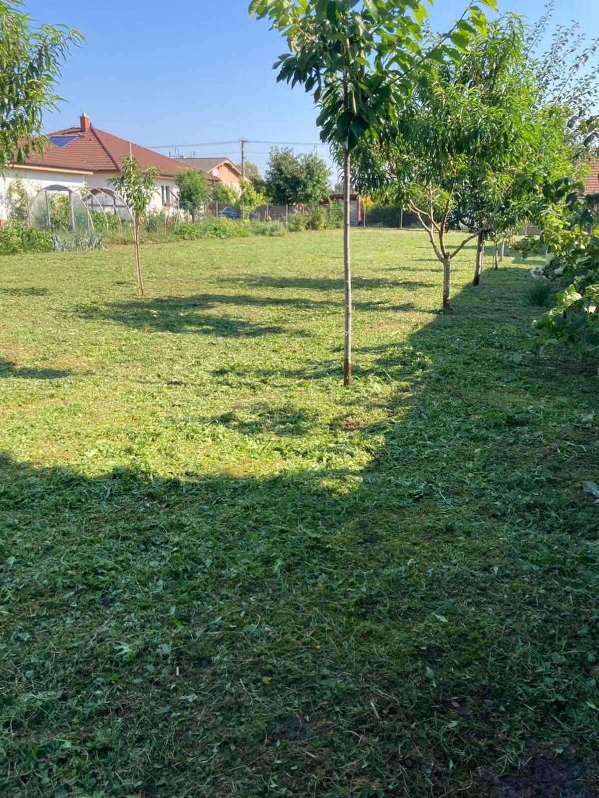 10á pozemok na stavbu rodinného domu, Šelpice — foto 2