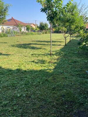 10á pozemok na stavbu rodinného domu, Šelpice — foto 2