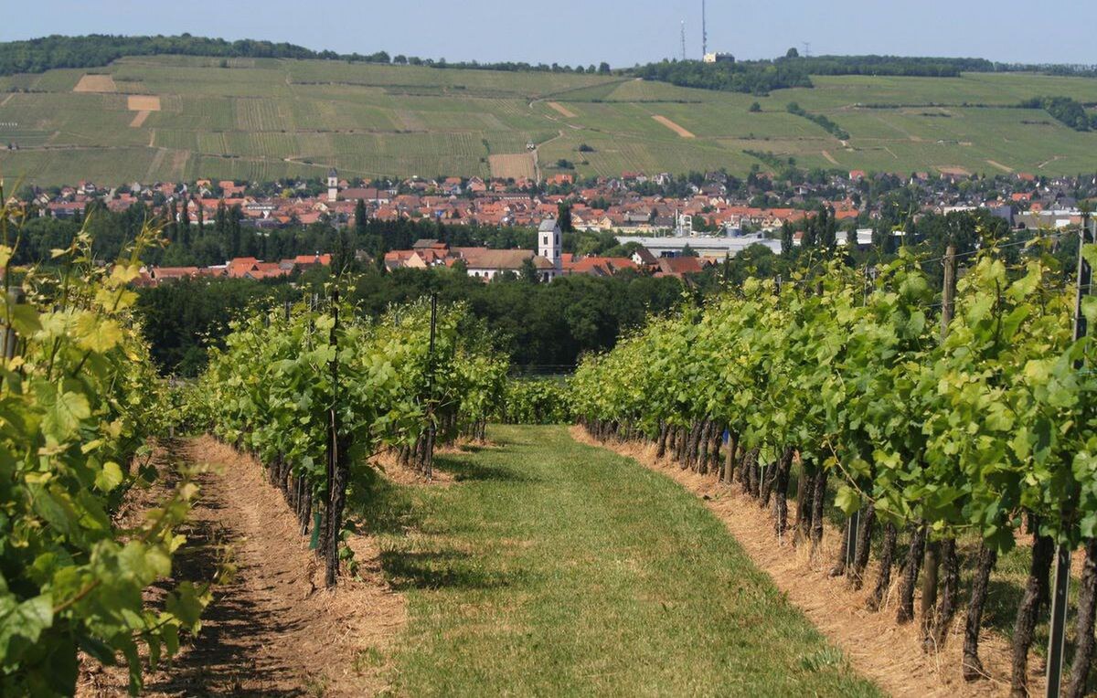 TIMA Real - zaujímavá záhrada 2711m2, Suchá nad Parnou