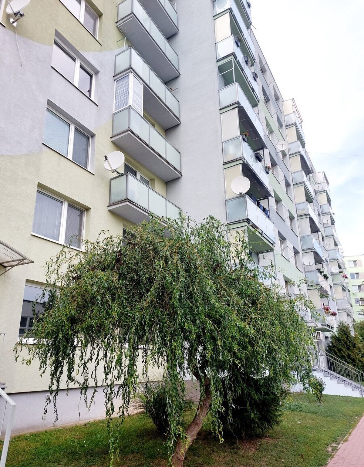 PREDANÉ - Garsónka 21m2 po kompletnej rek. ul. Hollého, Hlohovec — foto 8