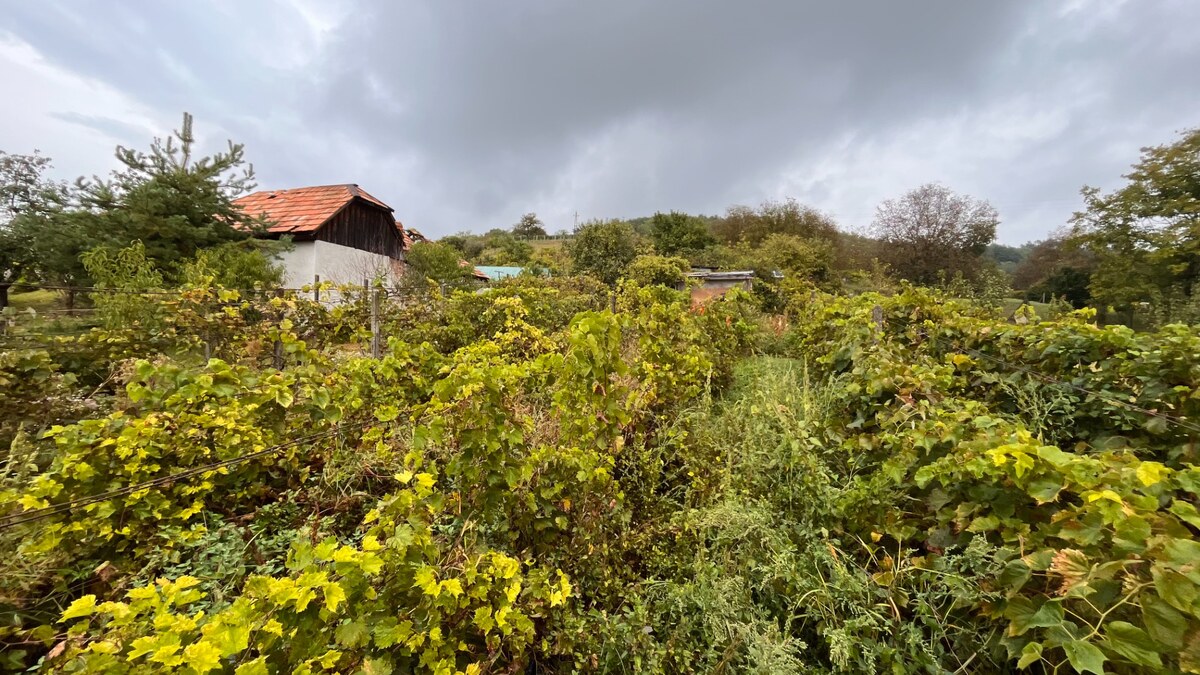 Na predaj rodinný dom v obci Slovenské Ďarmoty — foto 20