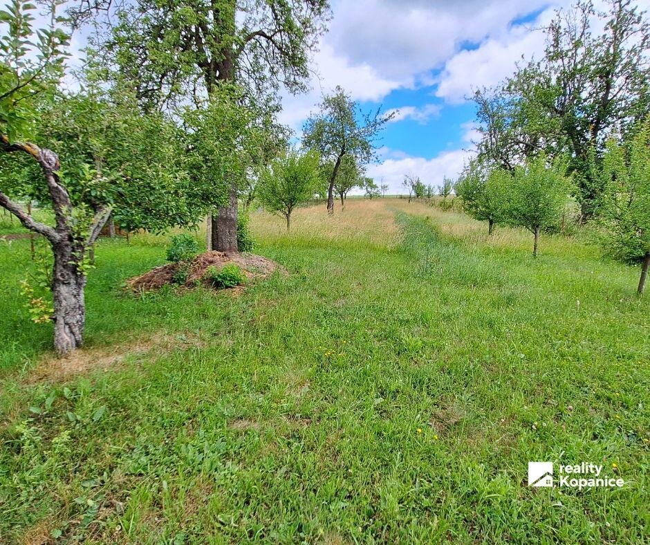 Rodinný dom Myjava Jablonská s veľkou záhradou — foto 24