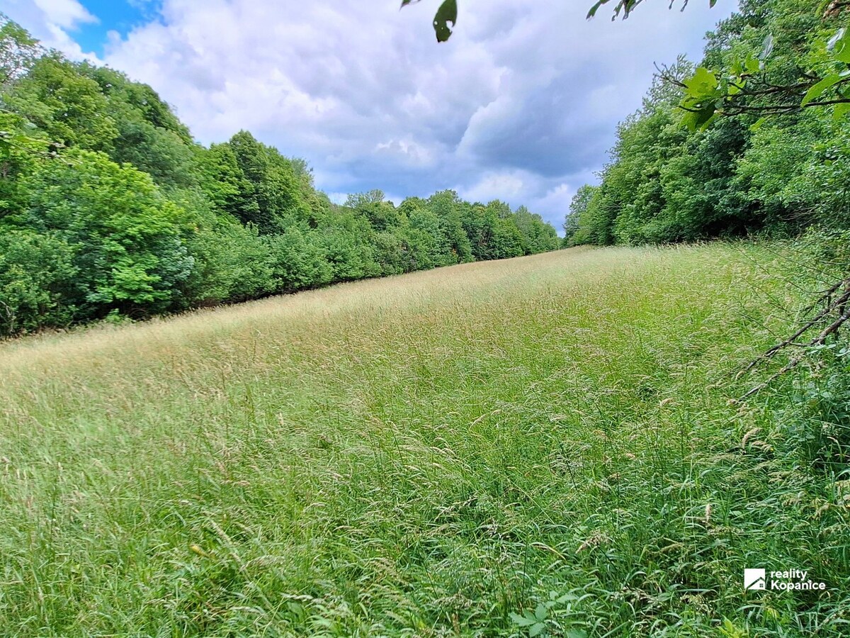Veľký pozemok na samote na kopaniciach, Turá Lúka — foto 3