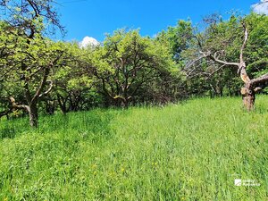 Stavebný pozemok, Stará Turá — foto 5