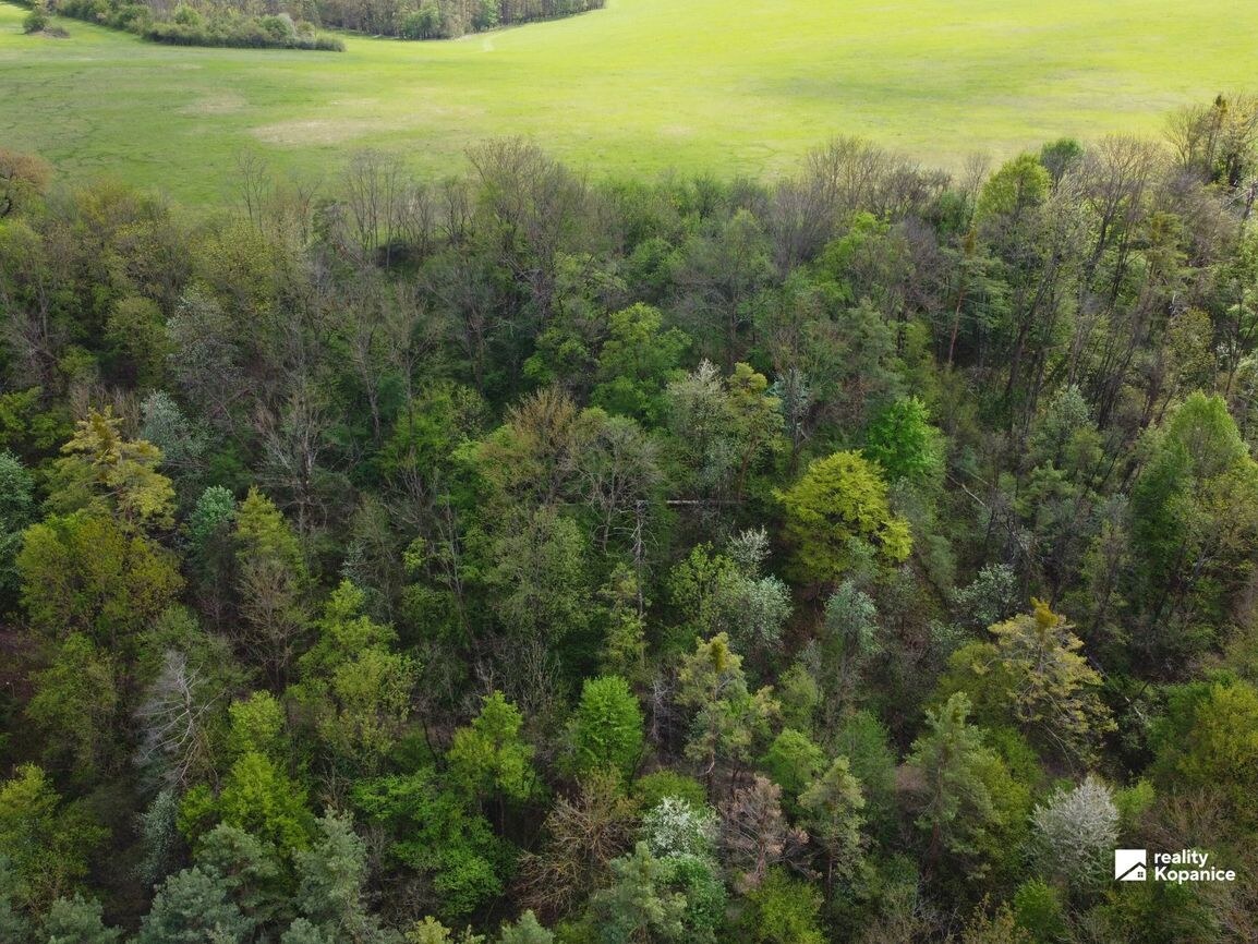 Veľký rekreačný pozemok, Brezová pod Bradlom — foto 3
