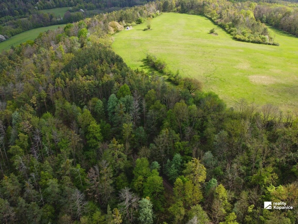 Veľký rekreačný pozemok, Brezová pod Bradlom — foto 4