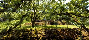 Murovaná záhradná chata MYJAVA/PRIEČNE — foto 6