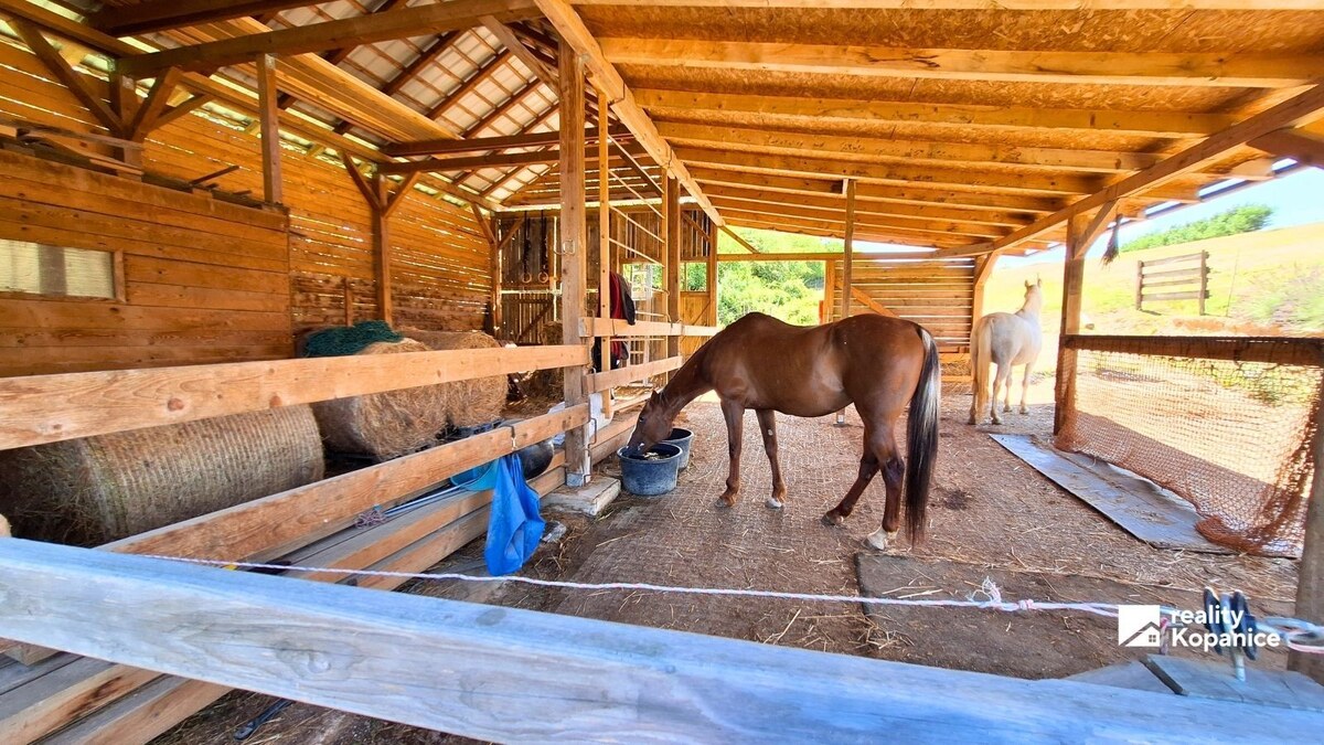 Farma pre kone a malá vidiecka chalupa, Ducové, okr. Piešťany — foto 27