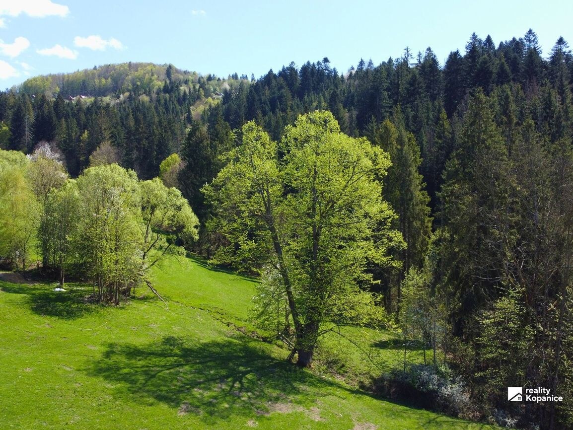 Exkluzívny zrub v objatí hôr, Čadca, Rieka — foto 23