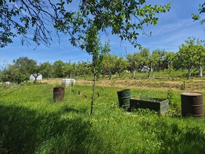  Pozemok v osobnom vlastníctve  615m2 s  chatkou a pivnicou v sade M. Šimonoviča  — foto 8