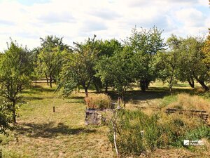 Predaj: dve staré chalupy, Poriadie — foto 18