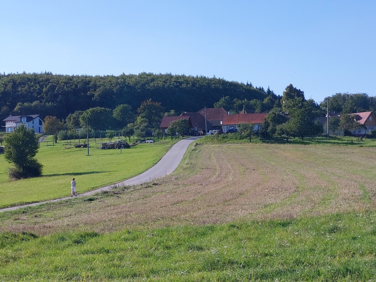 Slnečný pozemok 2700m2 s krásnym výhľadom – Investičná príležitosť / Ideálne pre Mobilný dom — foto 3