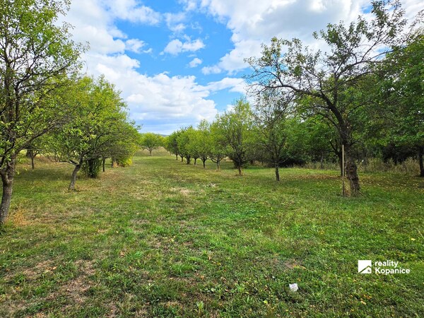 Atraktívny pozemok s výmerou 4 539 m² v pokojnej časti obce Krajné