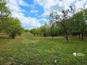 Atraktívny pozemok s výmerou 4 539 m² v pokojnej časti obce Krajné — foto 2