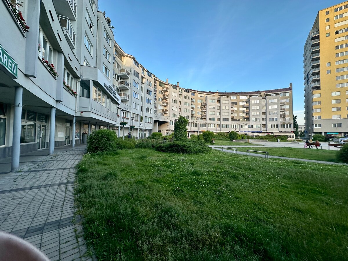 Nám.sv.Františka| — foto 14
