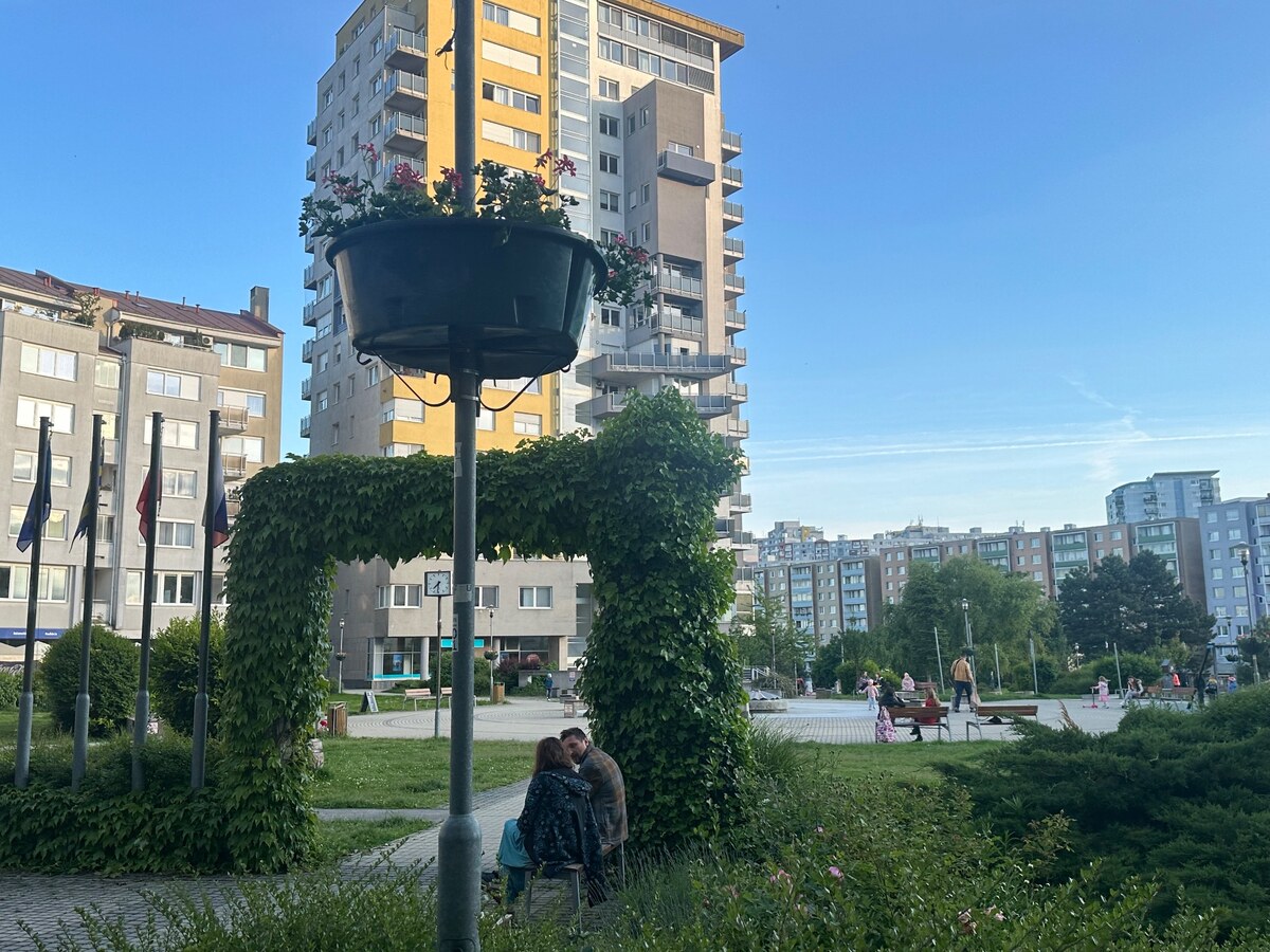 Nám.sv.Františka| — foto 15